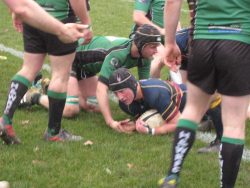 Dan wood scores again